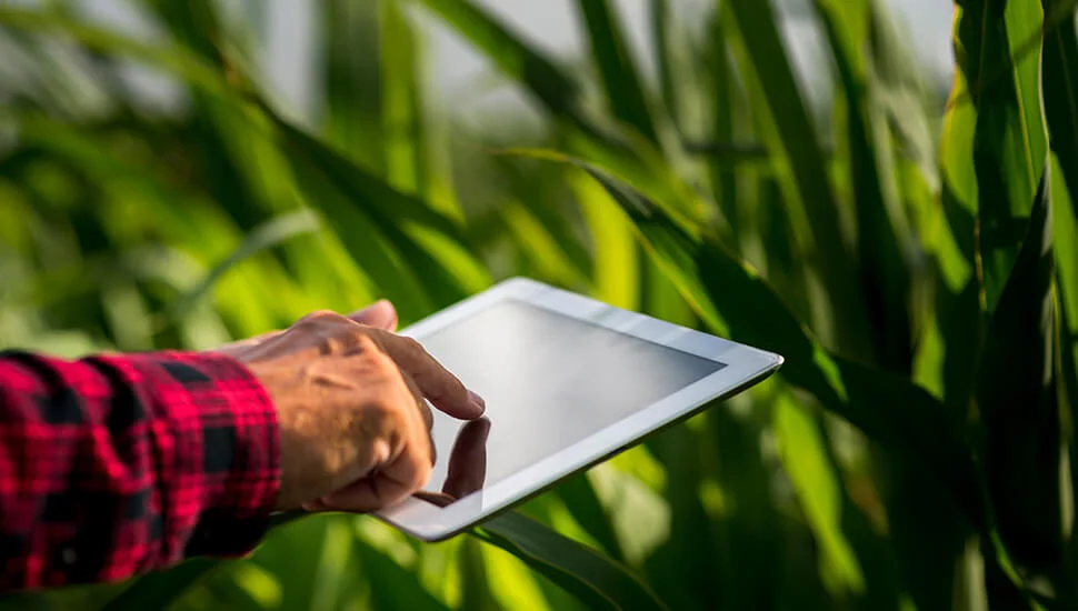 IPARD pravna zaštita